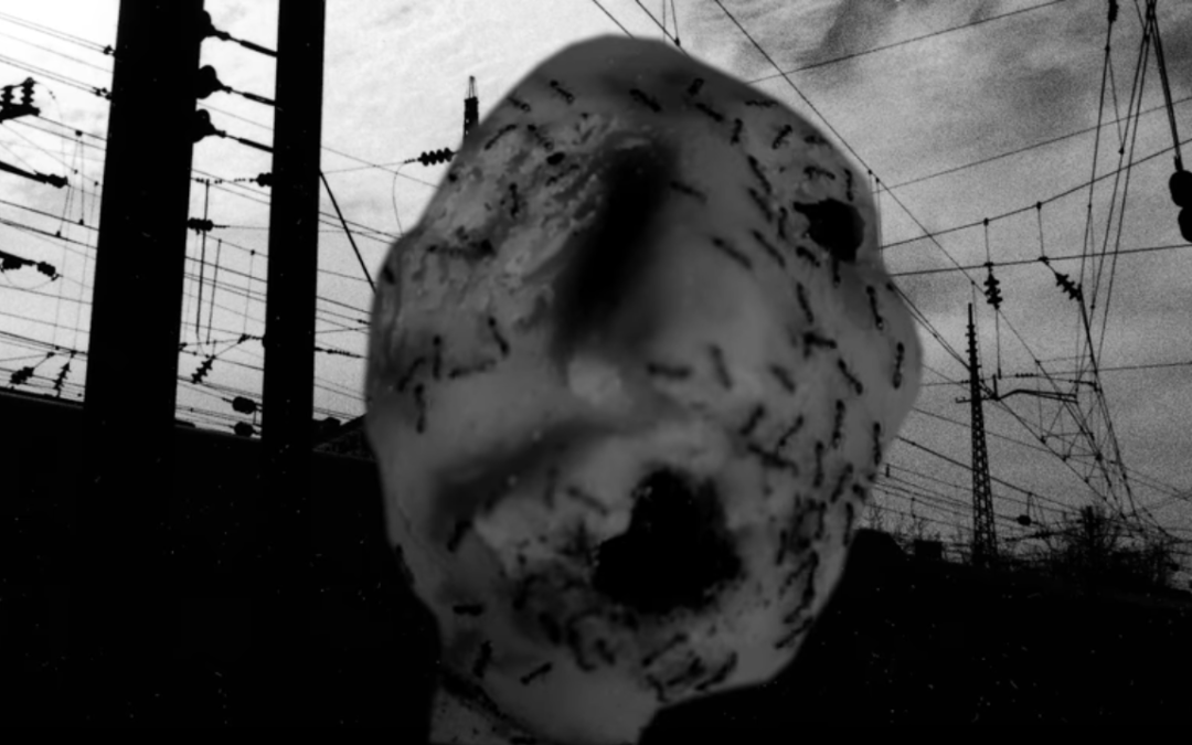 Ant head, nuevo corto de David Lynch